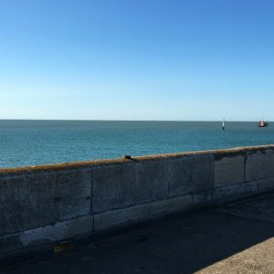 Tentang Giant Sea Wall, Proyek yang Disentil Cak Imin tapi Didorong oleh Prabowo