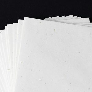 Viral! Surat Suara Sudah Tercoblos Lebih Dulu di Taipei, KPU Mulai Lakukan Penelusuran 
