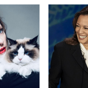 Nyatakan Dukungan pada Kamala Harris, Ini Alasan Taylor Swift