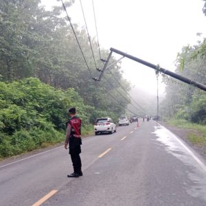 Apes, Pengendara Sepeda Motor Tertimpa Tiang Listrik di Blora