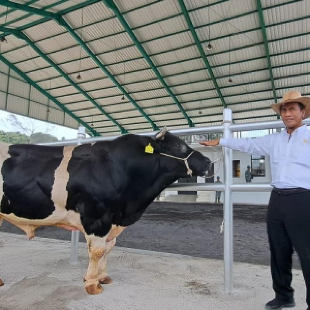 Mentan Andi Amran Sulaiman berupaya mendorong produktivitas semen beku dengan tingkatkan populasi ternak. Foto: Kementerian Pertanian