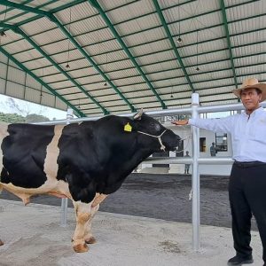 Pacu Produktivitas Semen Beku, Mentan Amran Tingkatkan Populasi Ternak