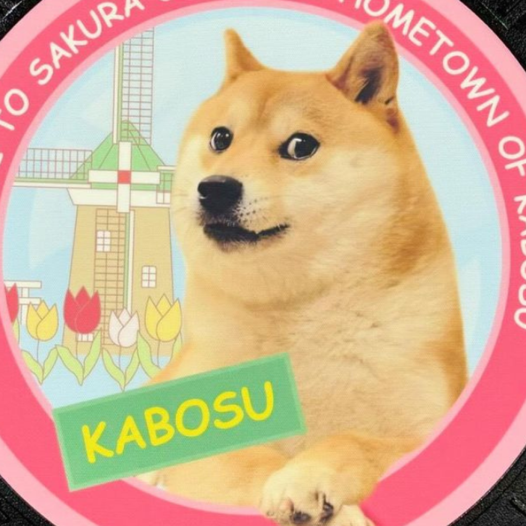 Kabosu, anjing Meme Dogecoin mati saat tidur. Foto: instagram.com/kabosumama