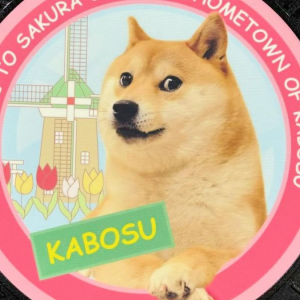 Kabosu Anjing Meme Dogecoin Mati saat Tidur, Punya Riwayat Penyakit Ini!