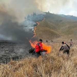 4 Jalur Wisata Gunung Bromo Ditutup Total, Kebakaran Masih Berlanjut