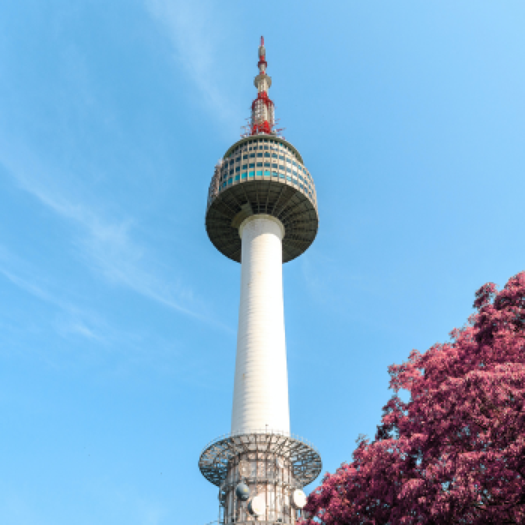 Rekomendasi tempat wisata gratis di Korea Selatan. FOTO: Pexels.com/aleksandar passaric