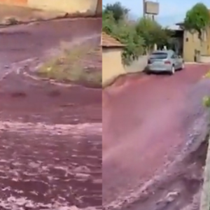 Viral! 2.2 Juta Liter Wine Bocor di Anadia Portugal, Jalanan Berubah Menjadi Lautan Merah!