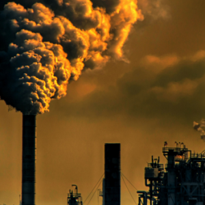 Polusi Udara Makin Buruk! Berikut 6 Makanan yang Dapat Menjaga Kesehatan Paru-paru 