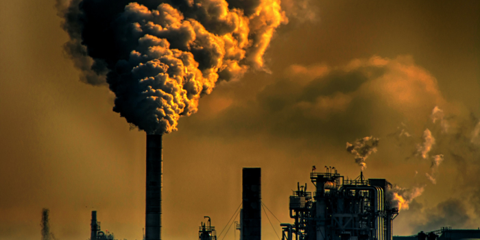 Rekomendasi makanan untuk menjaga kesehatan paru-paru di tengah polusi udara yang makin buruk. FOTO: Pexels.com/Chris LeBoutillier