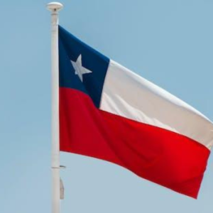 Produk Indonesia Ini Ternyata Diminati di Chili, Potensinya Mencapai Rp17 M!