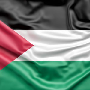 23 Negara Pendukung Palestina! Mulai dari China, Rusia, hingga Indonesia