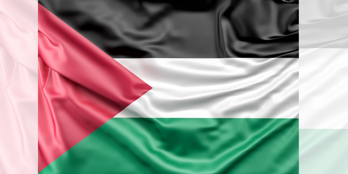 Inilah 23 negara yang mendukung Palestina. FOTO: Freepik.com/www.slon.pics