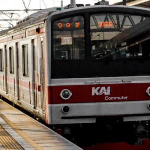 Penumpang Disabilitas Dapat Diskon Naik Kereta Api Sampai 20 Persen, Simak Caranya!