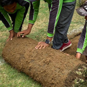 Jelang Piala Dunia U-17, Rumput di JIS Langsung Ganti Sesuai Rekomendasi FIFA