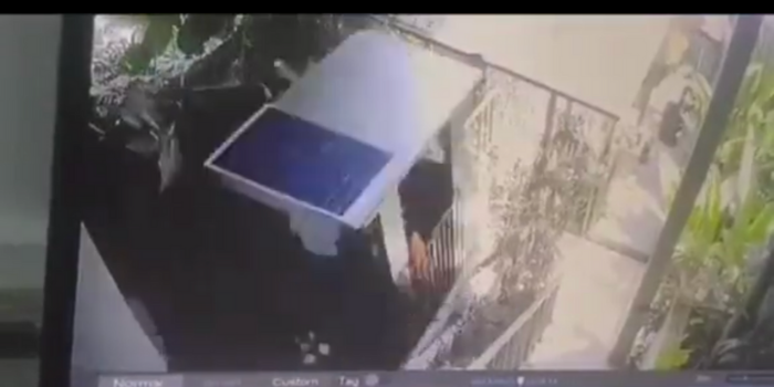 Insiden tali lift putus di Ayuterra Resort, Ubud. Foto: Screenshot X @nocontxtnetijen