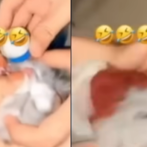 Bikin Geram! Usai Viral, Tiga Wanita yang Cekoki Kucing dengan Miras ini Sempat Kabur ke Riau 