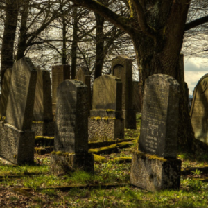 7 Fakta Temuan Mayat Ibu dan Anak Tinggal Kerangka di Cinere 