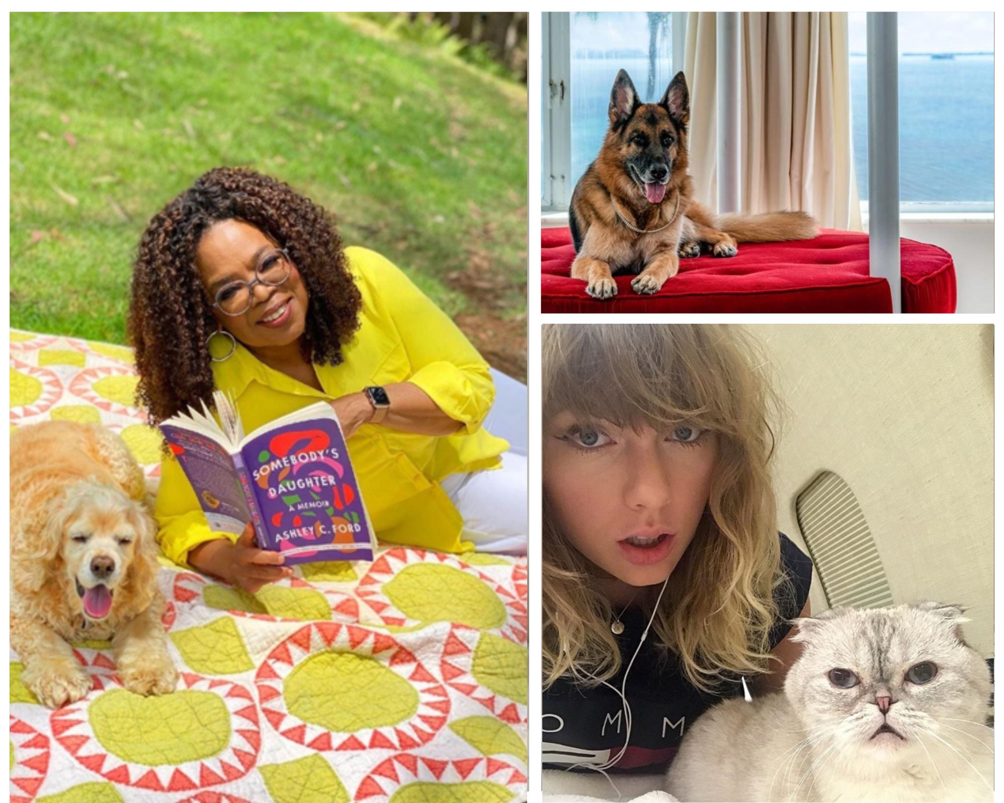 (Foto: Sosial Media Edited by Rifki)