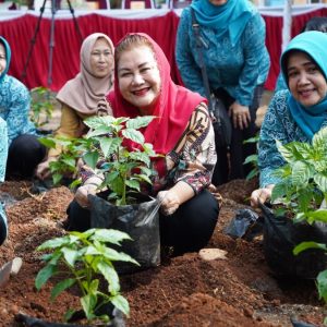 Giatkan Program Urban Farming, Wali Kota Semarang Minta Dinas Pertanian untuk Beri Pelatihan pada Ibu-ibu