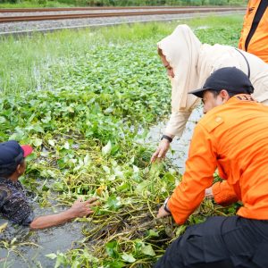 Wali Kota Semarang Tinjau Wilayah Banjir, Ternyata Ini Akar Penyebabnya!