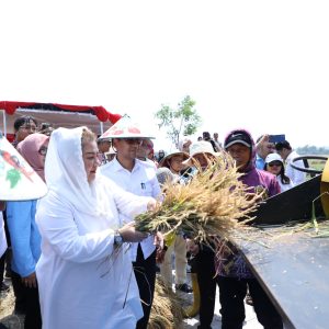 BRIN dan Pemkot Semarang Kembangkan Teknologi Pirolisis untuk Energi Ramah Lingkungan