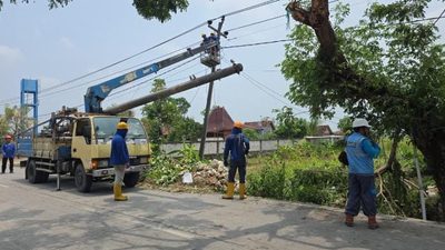 Keselamatan Lebih Penting! PLN Blora Dan Cepu, Minta Warga Tak Ambil Risiko Saat Tebang Pohon Dekat Jaringan 3 TUTURPEDIA - Keselamatan Lebih Penting! PLN Blora Dan Cepu, Minta Warga Tak Ambil Risiko Saat Tebang Pohon Dekat Jaringan