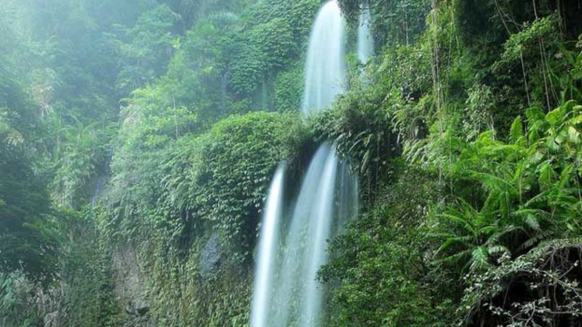 Rekomendasi wisata alam hidden gem di Lombok. Foto: trekkingrinjani.com