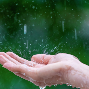 Amankah Meminum Air Hujan yang Ditampung? Ini Fakta yang Harus Kamu Tahu!