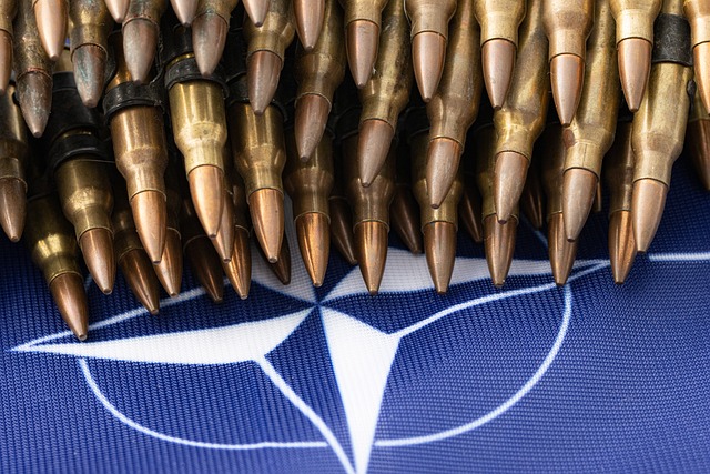Pemerintah China duga Amerika tengah membentuk NATO di Asia-Pasifik. Foto: pixabay.com/danzig_hamburg