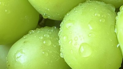 Anggur shine muscat. Foto: pixabay.com/ayanouchi