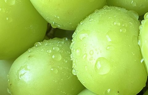 Anggur shine muscat. Foto: pixabay.com/ayanouchi