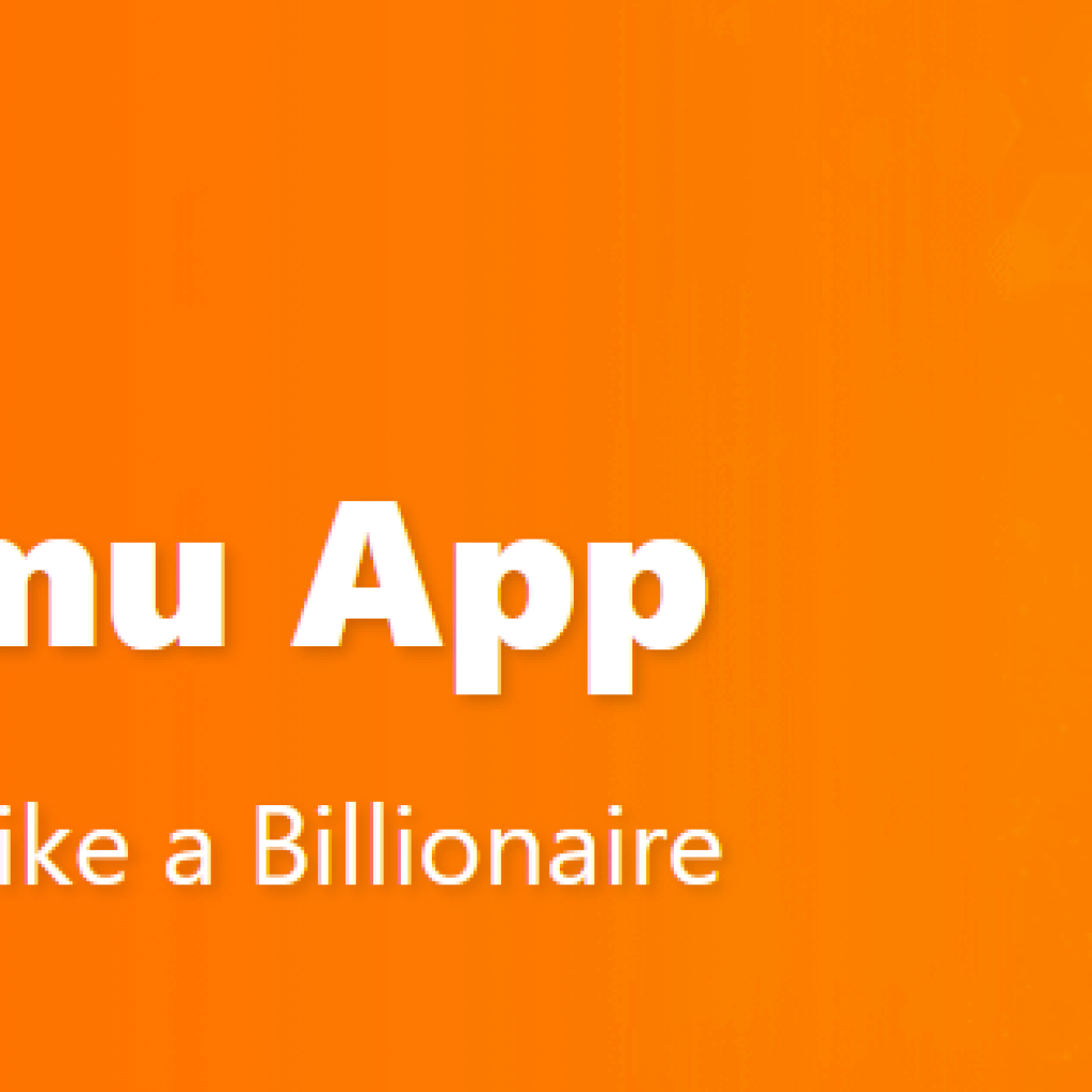 Aplikasi Temu, marketplace dari China yang sukses buat ketar-katir UMKM Indonesia. Foto: temu.com
