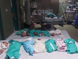 2 Bayi Meninggal dan 37 Bayi Lainnya Kekurangan Oksigen di Rumah Sakit Al-Shifa Gaza