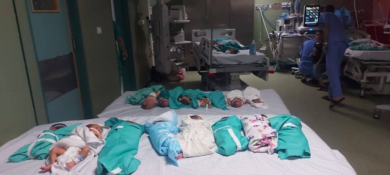 Puluhan bayi kekurangan oksigen di rumah sakit Al-Shifa dampak serangan bom Israel. Foto: X.com/Husainy007