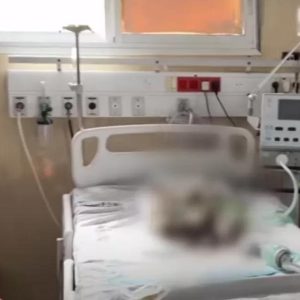 5 Bayi Prematur Meninggal dan Membusuk di Rumah Sakit Gaza