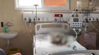 5 Bayi Prematur Meninggal dan Membusuk di Rumah Sakit Gaza