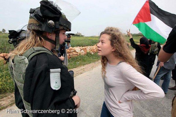 Untuk kedua kalinya Ahed Tamimi ditangkap oleh militer Israel. Foto: X.com/leylahamed