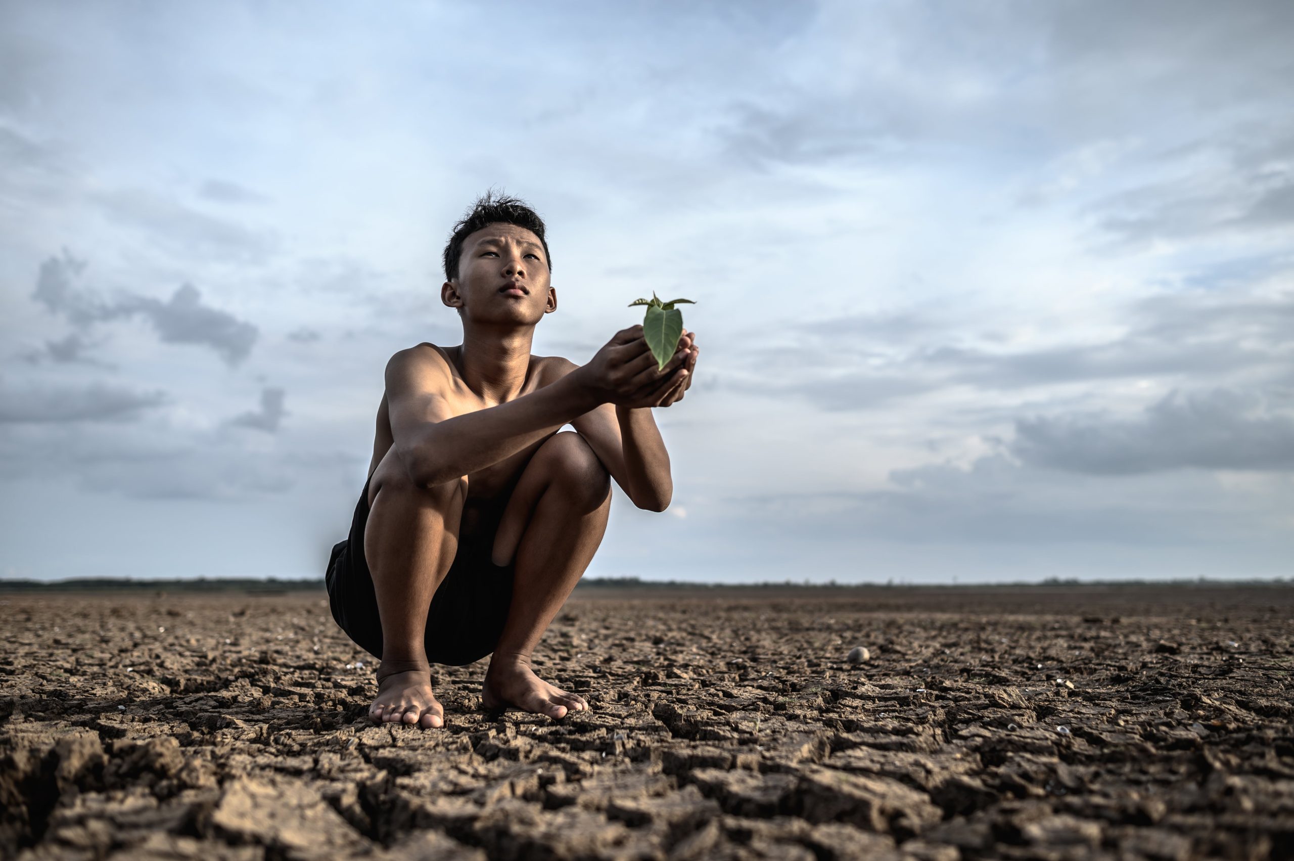 Dampak kekeringan akan menimpa sektor pertanian akibat badai El-Nino. (Foto: Freepik)