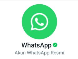 Dichat Akun WhatsApp Centang Hijau? Tidak Perlu Panik, Kenali Arti dan Fungsinya!