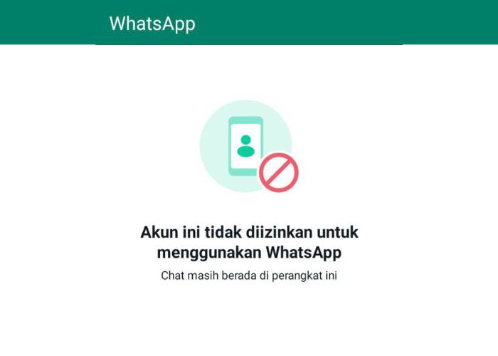 Waspada, WhatsApp bisa banned akun yang menggunakan aplikasi MOD. Foto: X.com/convomfs