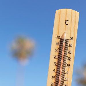 Bukan Heatwave, BMKG Ungkap Alasan Cuaca Panas di Indonesia Saat Ini