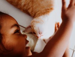Hari Kucing Sedunia, Kamu Wajib Tahu 5 Manfaat Memelihara Kucing Secara Psikologis!