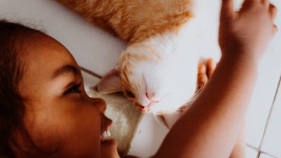 Memelihara kucing ternyata bisa memelihara kesehatan mental manusia, benarkah? (Foto: Pexels)