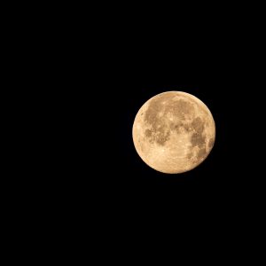 Super Blue Moon Masih Ada Sampai 31 Agustus 2023, Begini Caranya untuk Bisa Melihatnya!