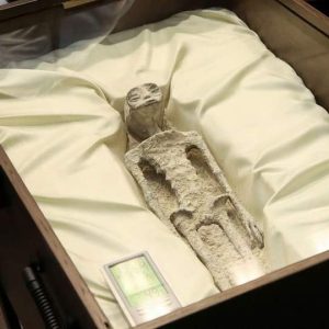 Mengejutkan! Seorang Ufologist Ungkap Keberadaan Tubuh Alien di Kongres Legislatif Meksiko