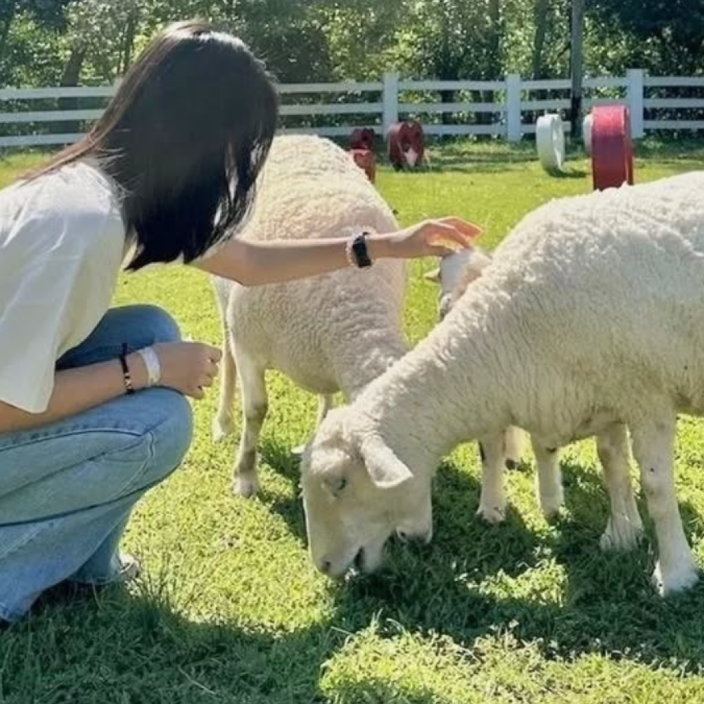 Rekomendasi objek wisata di Pekanbaru. Foto: instagram.com/asiafarm.id