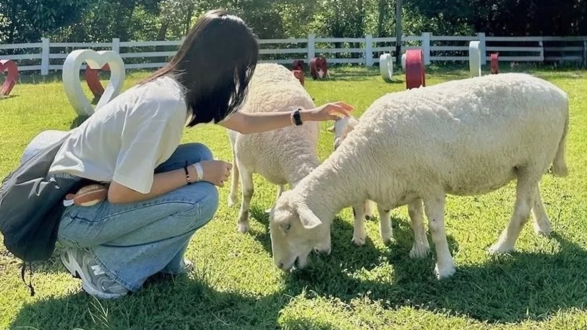 Rekomendasi objek wisata di Pekanbaru. Foto: instagram.com/asiafarm.id