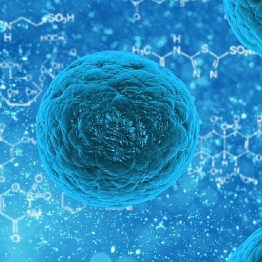 Virus wetland diketahui disebabkan oleh hewan ini. Foto: pixabay.com/publicdomainpictures