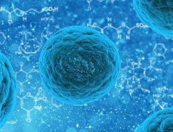 Virus Wetland Ditemukan di China Disebut Dapat Sebabkan Kerusakan Otak, Akankah Jadi Pandemi?
