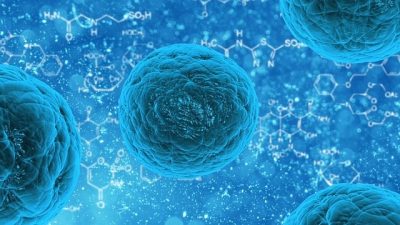 Virus wetland diketahui disebabkan oleh hewan ini. Foto: pixabay.com/publicdomainpictures